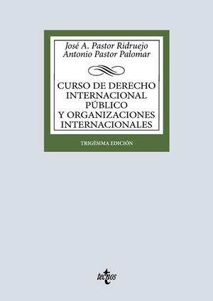 CURSO DE DERECHO INTERNACIONAL PUBLICO Y DE ORGANIZACIONES I | 9788430994588 | PASTOR RIDRUEJO, JOSÉ  ANTONIO/PASTOR PALOMAR, ANTONIO