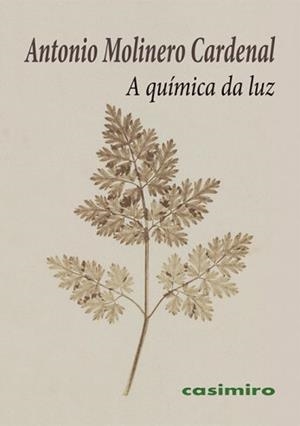 A QUÍMICA DA LUZ | 9788412920055 | MOLINERO CARDENAL, ANTONIO