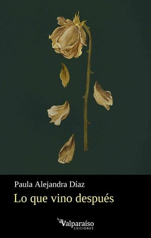 LO QUE VINO DESPUÉS | 9791388007989 | DIAZ, PAULA ALEJANDRA
