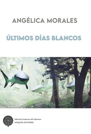 ÚLTIMOS DÍAS BLANCOS | 9791387751319 | MORALES, ANGÉLICA