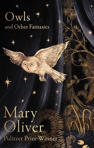 OWLS AND OTHER FANTASIES | 9781472160935 | OLIVER, MARY