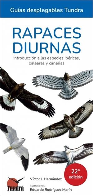 RAPACES DIURNAS. INTRODUCCIÓN A LAS ESPECIES IBERICAS, BALEARES Y CANARIAS | 9791387759377 | HERNANDEZ, VICTOR J.