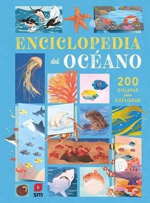 ENCICLOPEDIA DEL OCÉANO | 9788410553903 | DE LA BEDOYERE, CAMILLA
