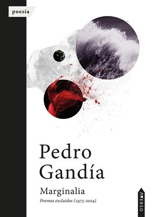 MARGINALIA | 9791388327322 | GANDIA, PEDRO