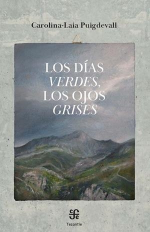 DÍAS VERDES, LOS OJOS GRISES, LOS | 9788437508658 | PUIGDEVALL CLAVER, CAROLINA-LAIA