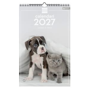 CALENDARI PARET ESP.25X40 2027 GOS.GAT.CATALÀ | 8422952424345
