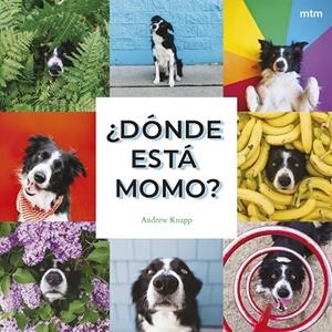 DONDE ESTA MOMO? | 9788410407909 | KNAPP, ANDREW