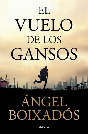 VUELO DE LOS GANSOS, EL | 9788425375040 | BOIXADÓS, ÁNGEL