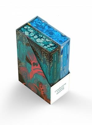 ESTUCHE HERMANAS BRONTË (CUMBRES BORRASCOSAS Y JANE EYRE) | 9788491058403 | BRONTË, EMILY / BRONTË, CHARLOTTE