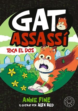DIARI D'UN GAT ASSASSÍ 03. TOCA EL DOS | 9791388154584 | FINE, ANNE