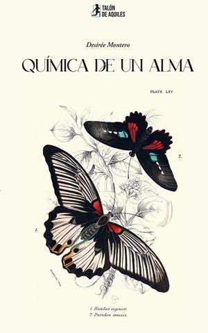 QUÍMICA DE UN ALMA | 9791388301254 | BLAZQUEZ MONTERO, DESIREE