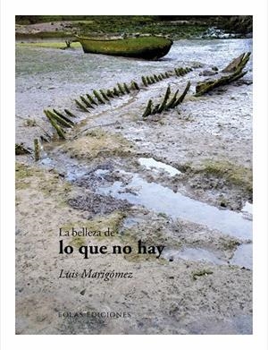 BELLEZA DE LO QUE NO HAY, LA | 9791388299353 | MARIGOMEZ, LUIS