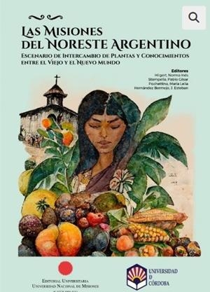 MISIONES DEL NORESTE ARGENTINO, LAS | 9788499277363 | VARIOS AUTORES