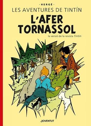 AFER TORNASSOL, L' (EDICIÓ ESPECIAL) | 9788426149879 | HERGÉ