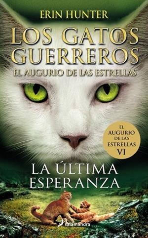 GATOS GUERREROS, LOS. EL AUGURIO DE LAS ESTRELLAS 06. LA ÚLTIMA ESPERANZA | 9788419275424 | HUNTER, ERIN